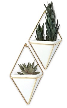 Lot de 2 vases muraux Trigg